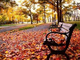 “Assim como as folhas das arvores caem no outono para poder suportar o inverno nós também nos modificamos para seguir vivendo” (Gilberto M. Refatti).