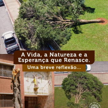 A Vida, a Natureza e a Esperança que Renasce