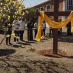 A vida é dom precioso de Deus